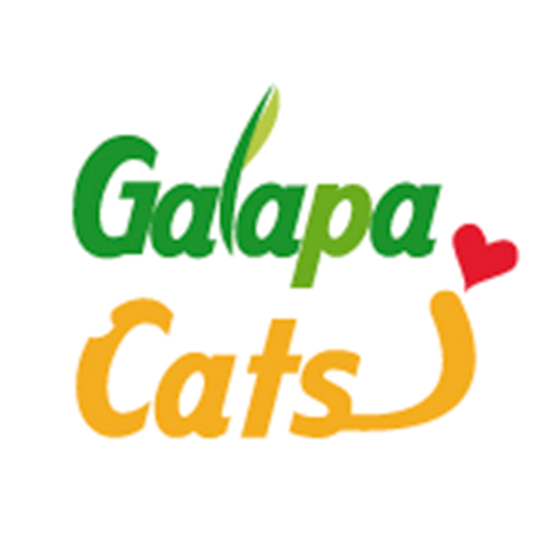 img principal ADOPTA Sitios Pet Friendly