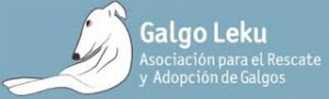 img principal ADOPTA Sitios Pet Friendly