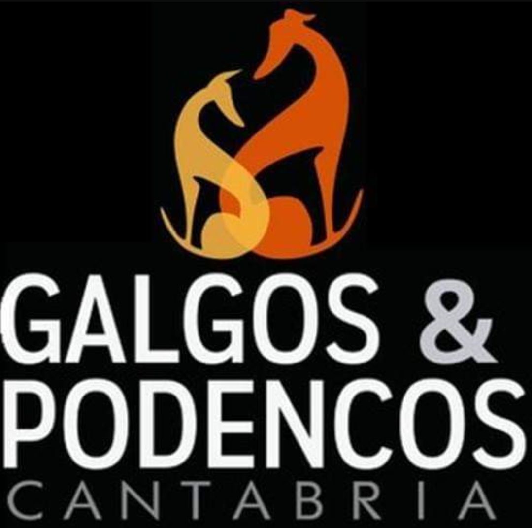img principal ADOPTA Sitios Pet Friendly
