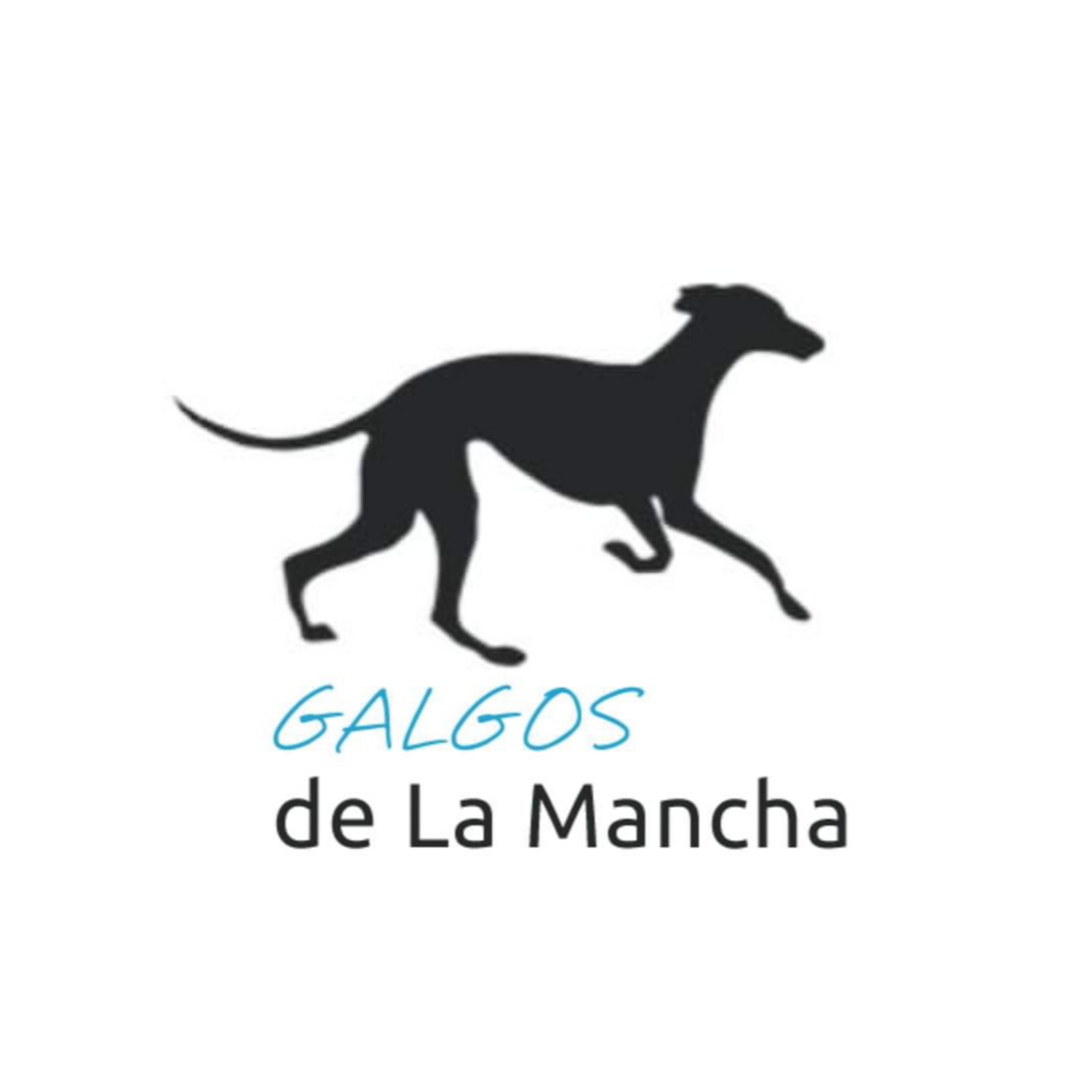 img principal ADOPTA Sitios Pet Friendly