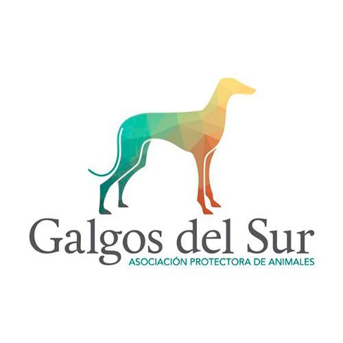 img principal ADOPTA Sitios Pet Friendly