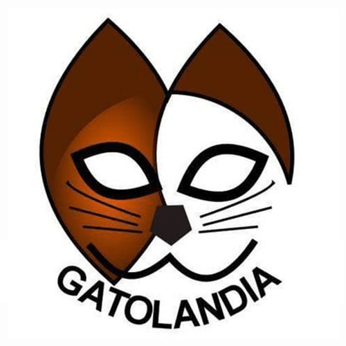 img principal ADOPTA Sitios Pet Friendly