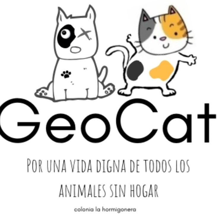 img principal ADOPTA Sitios Pet Friendly