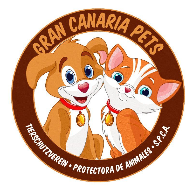 img principal ADOPTA Sitios Pet Friendly