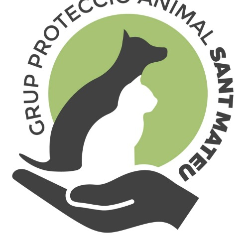 img principal ADOPTA Sitios Pet Friendly