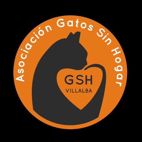 img principal ADOPTA Sitios Pet Friendly