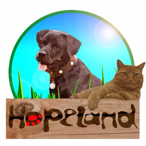 img principal ADOPTA Sitios Pet Friendly