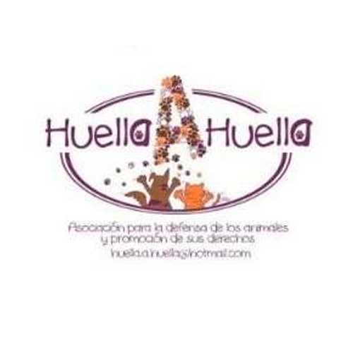 img principal ADOPTA Sitios Pet Friendly