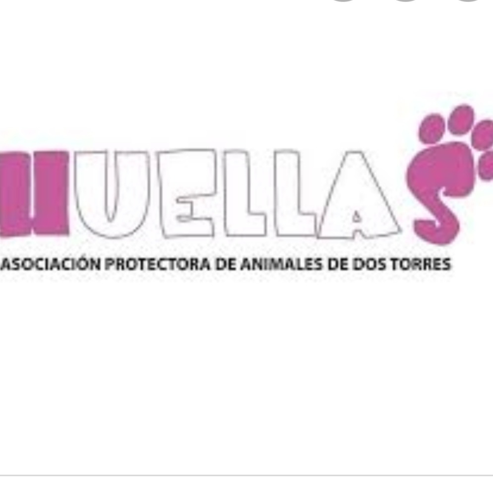 img principal ADOPTA Sitios Pet Friendly