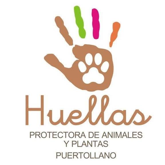 img principal ADOPTA Sitios Pet Friendly