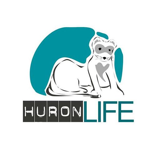 img principal ADOPTA Sitios Pet Friendly