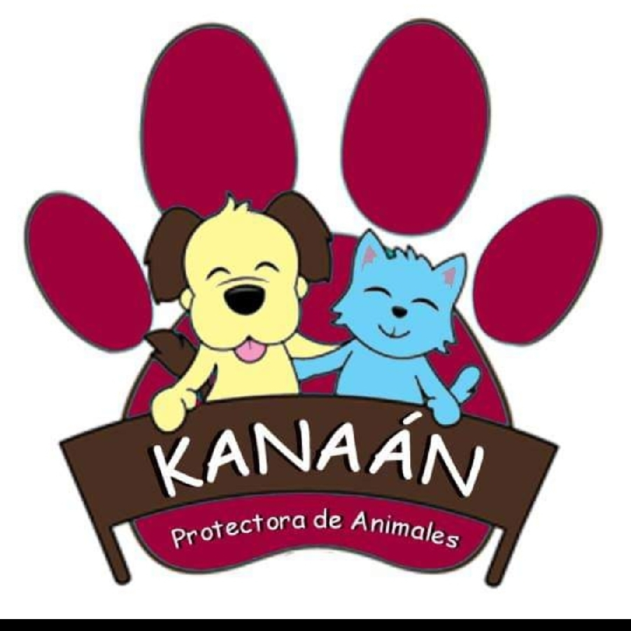 img principal ADOPTA Sitios Pet Friendly