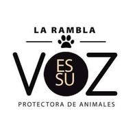 img principal ADOPTA Sitios Pet Friendly