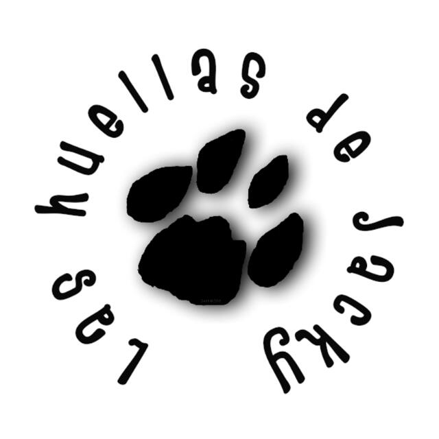 img principal ADOPTA Sitios Pet Friendly