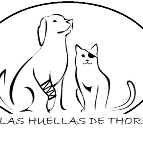 img principal ADOPTA Sitios Pet Friendly