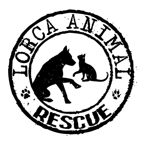 img principal ADOPTA Sitios Pet Friendly