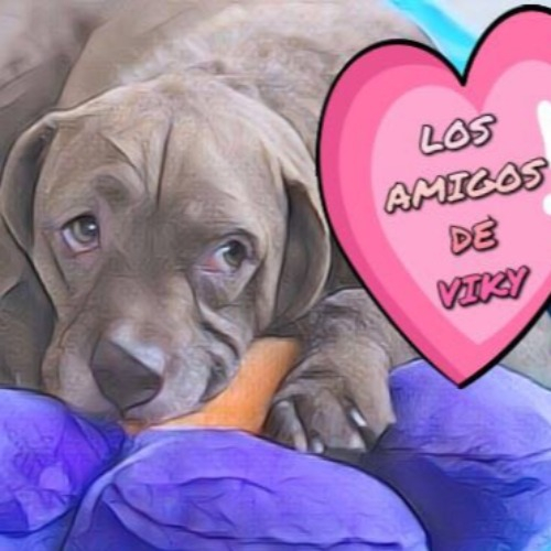 img principal ADOPTA Sitios Pet Friendly