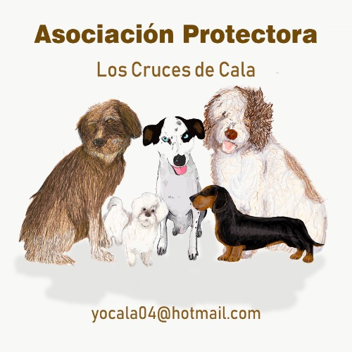 img principal ADOPTA Sitios Pet Friendly