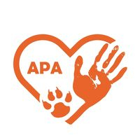 img principal ADOPTA Sitios Pet Friendly