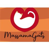 img principal ADOPTA Sitios Pet Friendly