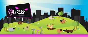 img principal ADOPTA Sitios Pet Friendly