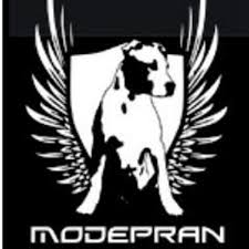 img principal ADOPTA Sitios Pet Friendly