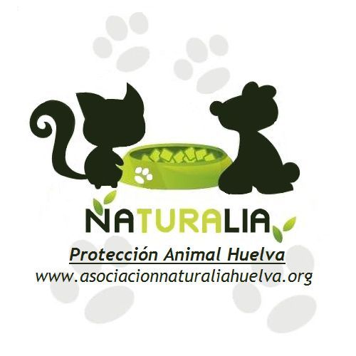 img principal ADOPTA Sitios Pet Friendly
