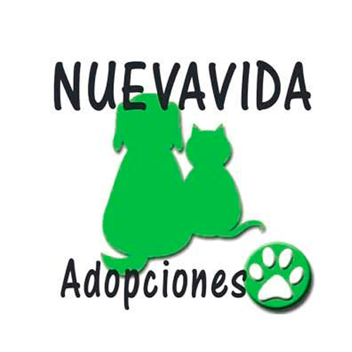 img principal ADOPTA Sitios Pet Friendly