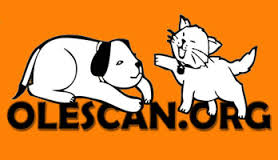 img principal ADOPTA Sitios Pet Friendly