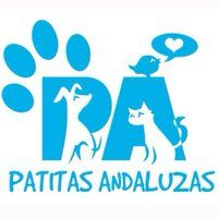 img principal ADOPTA Sitios Pet Friendly