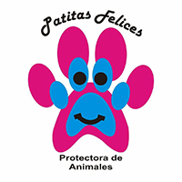 img principal ADOPTA Sitios Pet Friendly