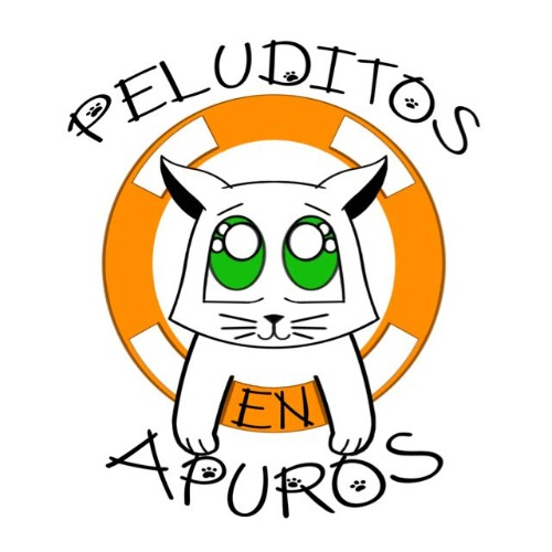 img principal ADOPTA Sitios Pet Friendly