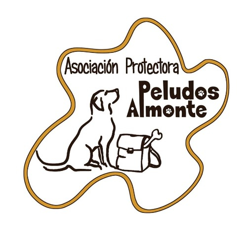 img principal ADOPTA Sitios Pet Friendly