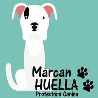 img principal ADOPTA Sitios Pet Friendly