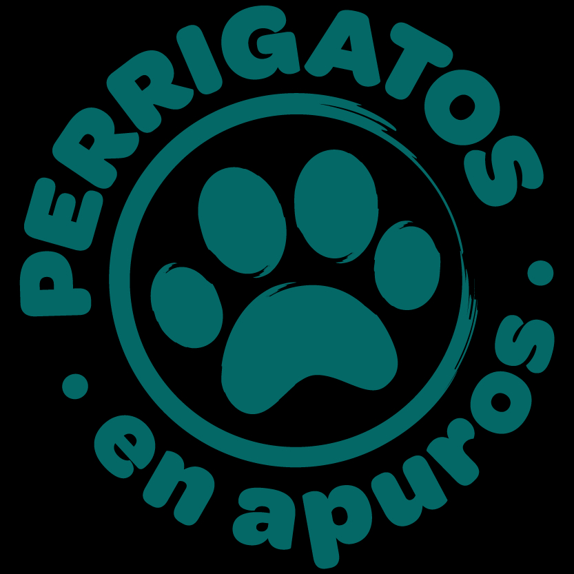 img principal ADOPTA Sitios Pet Friendly