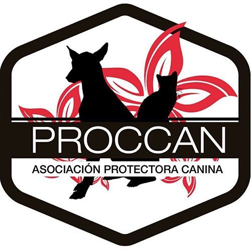 img principal ADOPTA Sitios Pet Friendly