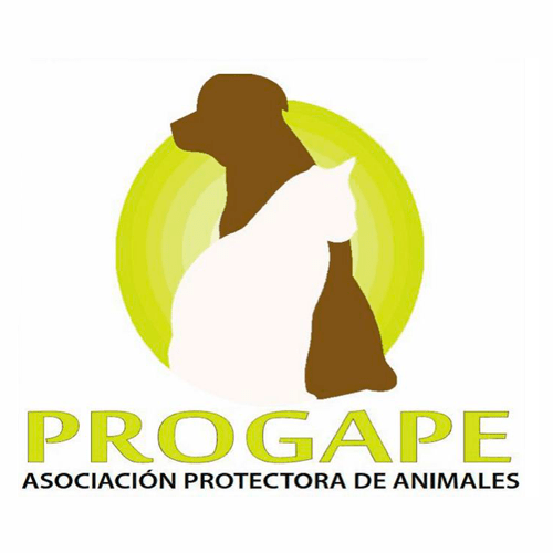 img principal ADOPTA Sitios Pet Friendly