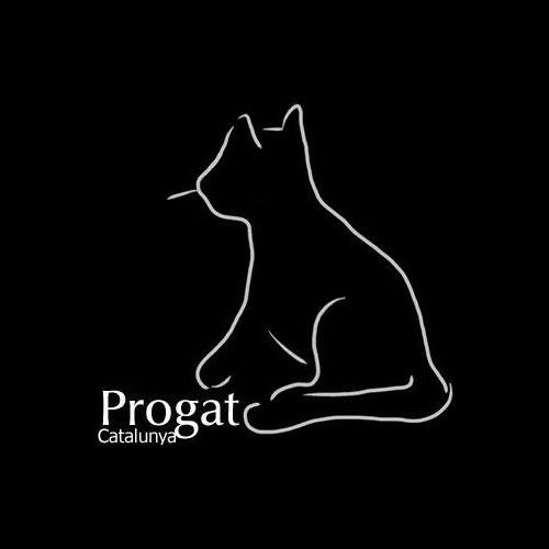 img principal ADOPTA Sitios Pet Friendly