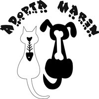 img principal ADOPTA Sitios Pet Friendly