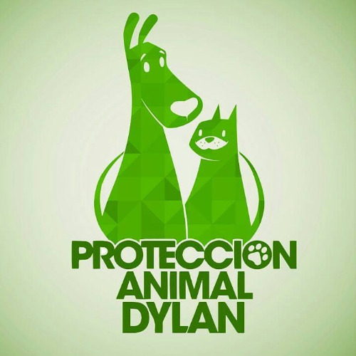 img principal ADOPTA Sitios Pet Friendly