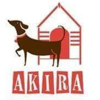 img principal ADOPTA Sitios Pet Friendly