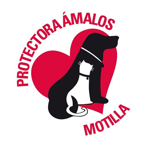 img principal ADOPTA Sitios Pet Friendly