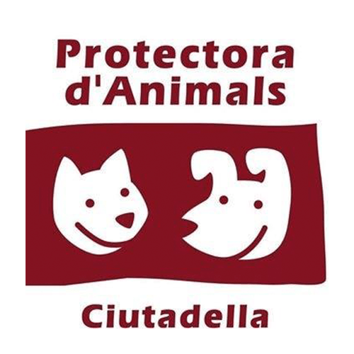 img principal ADOPTA Sitios Pet Friendly