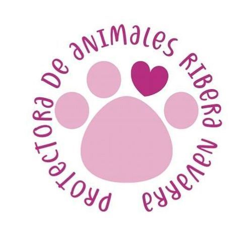 img principal ADOPTA Sitios Pet Friendly