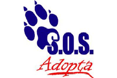 img principal ADOPTA Sitios Pet Friendly