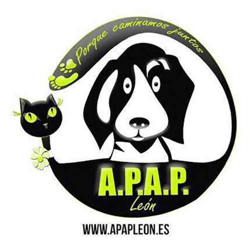 img principal ADOPTA Sitios Pet Friendly