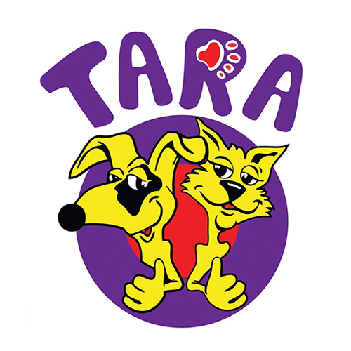 img principal ADOPTA Sitios Pet Friendly