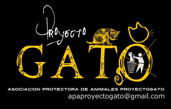 img principal ADOPTA Sitios Pet Friendly