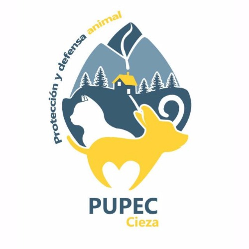 img principal ADOPTA Sitios Pet Friendly
