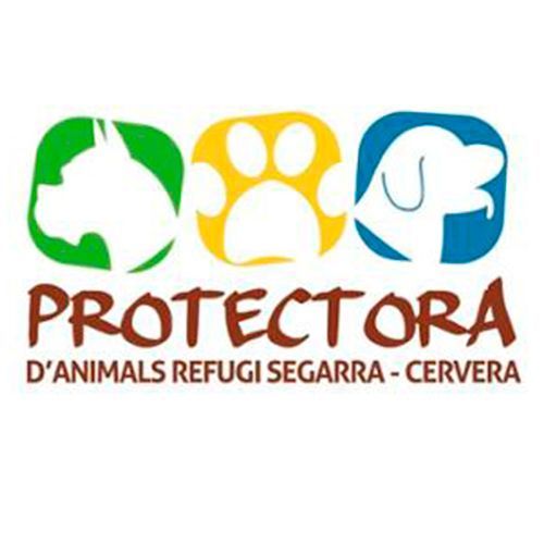 img principal ADOPTA Sitios Pet Friendly